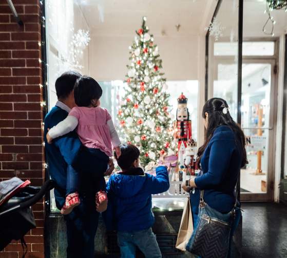 Holiday Photos - Downtown Frederick Partnership - 2022 Christmas Photos, Christmas Downtown