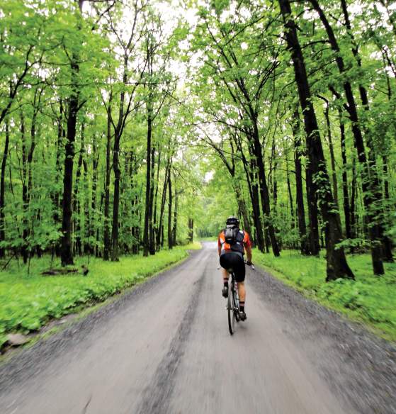 Person Biking A Trail In Frederick County, MD