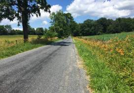 Rustic dirt road in Frederick County, Maryland
