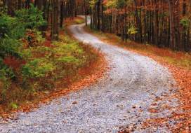 Rustic dirt road in Gambrill State Park