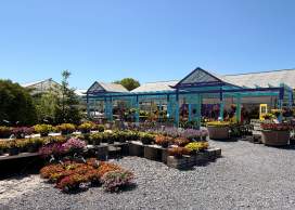 Dig In: A Plant Lover's Guide to Frederick County, MD