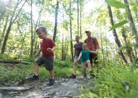 Summer Family Fun in Frederick County