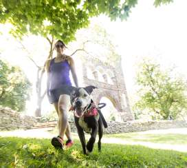 Frederick County’s War Correspondents Arch the First of its Kind