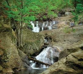 Waterfall and trees at Cummingham Falls