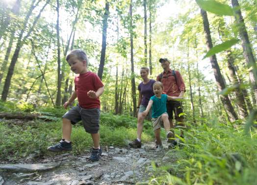 Family Hike