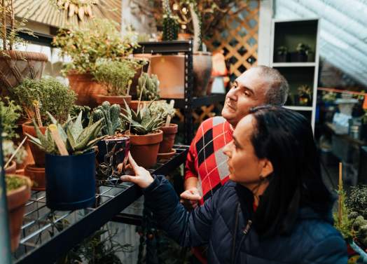 Frederick County is the perfect place to shop local this holiday season