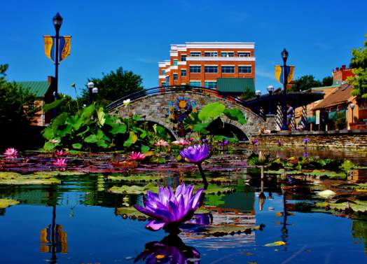 Hip Sites After Historic Flooding in Downtown Frederick, MD