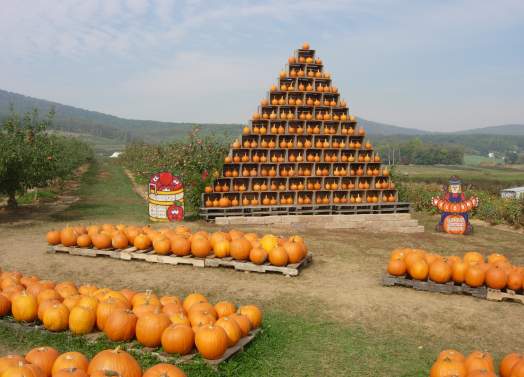 Catoctin Mountain Orchard