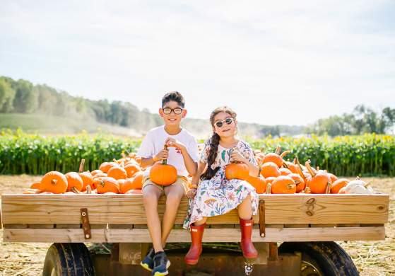 2026 Fall Festival at Gaver Farm