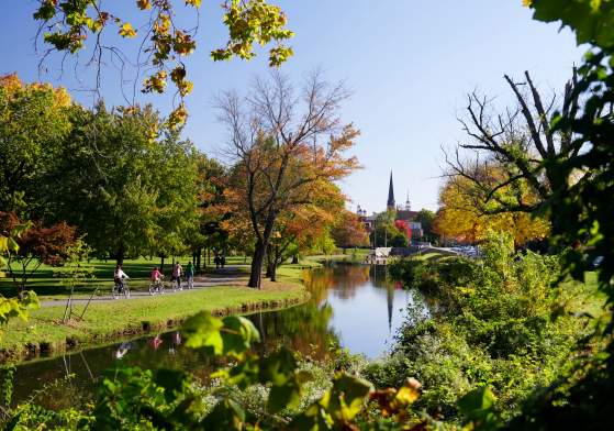 Bike trail through Baker Park in Frederick in the Fall