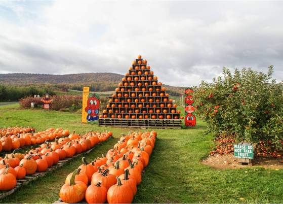 Fun Fall Festivals in Frederick