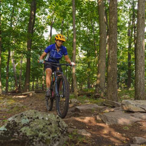 Mountain Biking