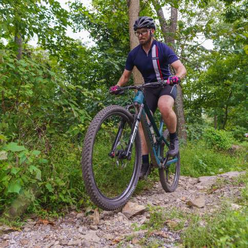 Mountain Biking trail
