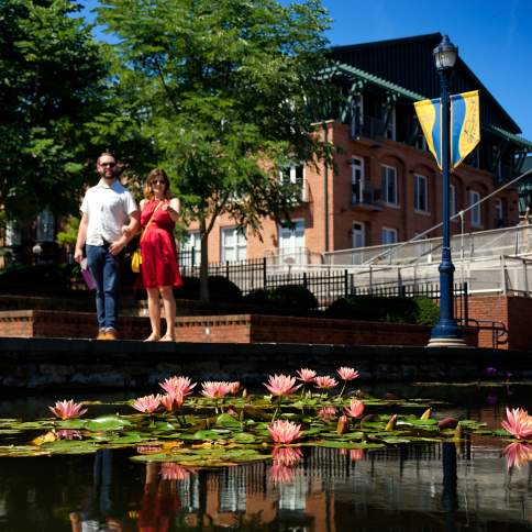 Carroll Creek Park