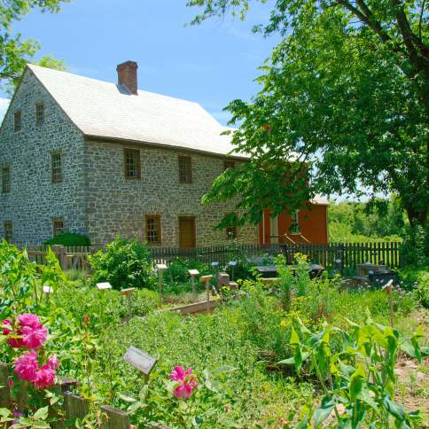 Flowers blooming outside the Schifferstadt Architectural Museum