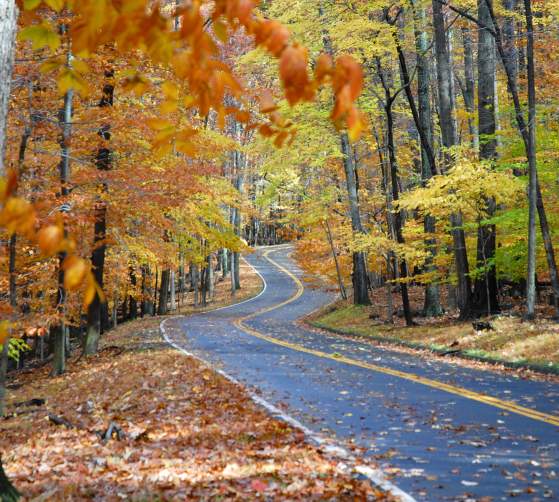 Fall Color Roads