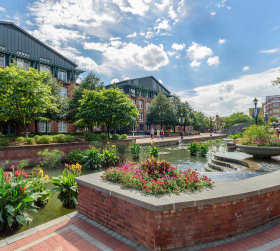 Carroll Creek Downtown Frederick