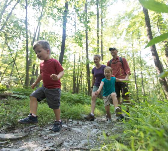 Family Hike