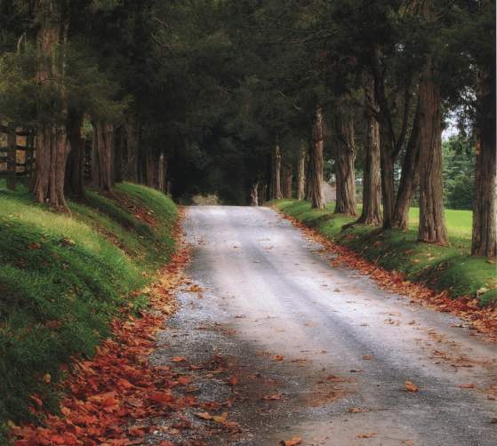 Rustic road in Frederick County Maryland