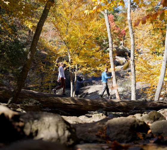 Cunningham Falls State Park in the fall with leaves