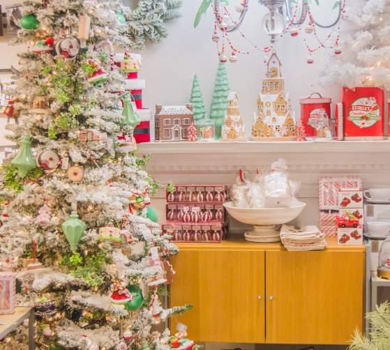 Find The Perfect Gifts For Everyone On Your List - Downtown Frederick Holiday Shopping Guide