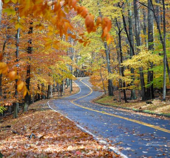 Fall Color Roads