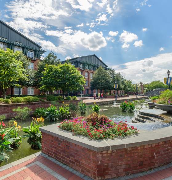 Carroll Creek Downtown Frederick