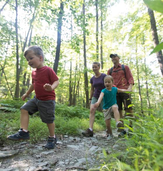Family Hike