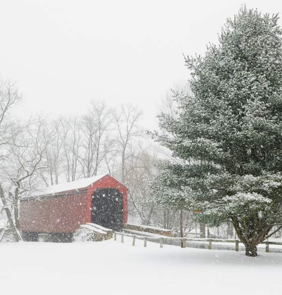 Covered Bridge Snow - Winter