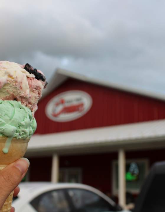 Rocky Point Creamery 01