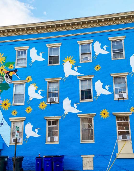Instagrammable Spots in Downtown Frederick