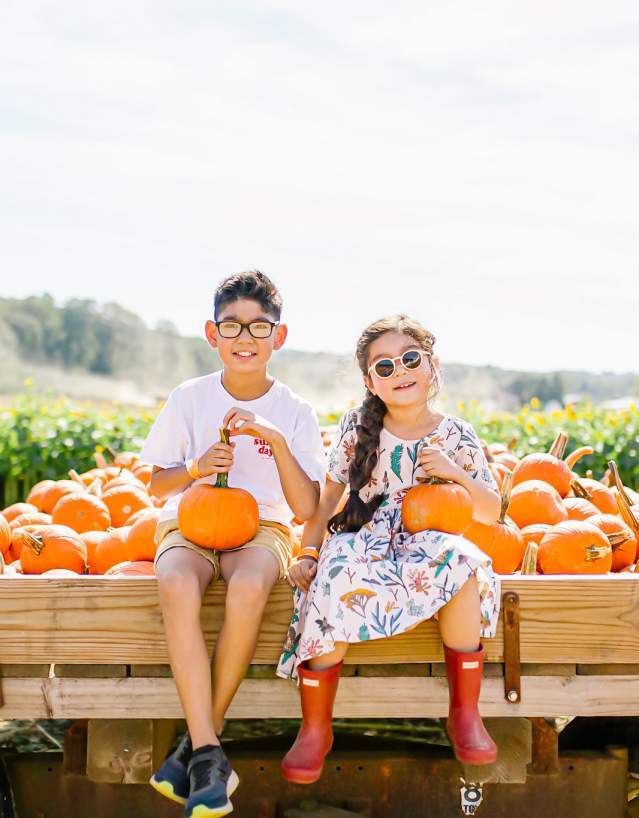 2026 Fall Festival at Gaver Farm