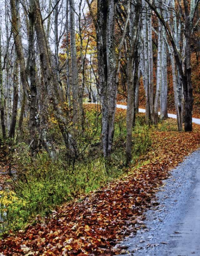Rustic Road in Frederick County Maryland