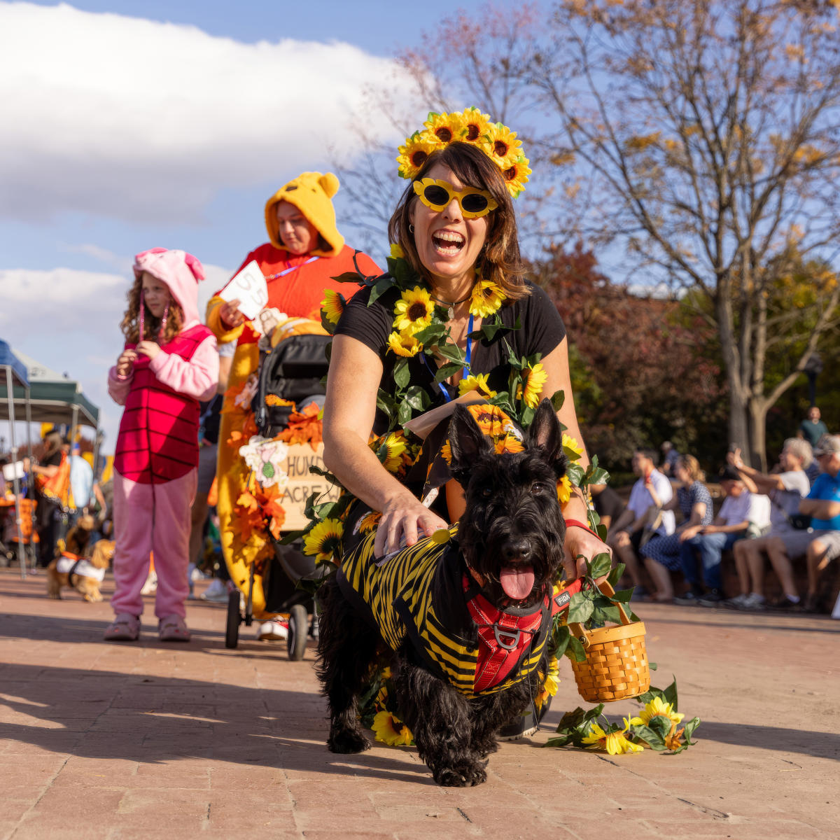 Dogs in costume during an event in Downtown Frederick