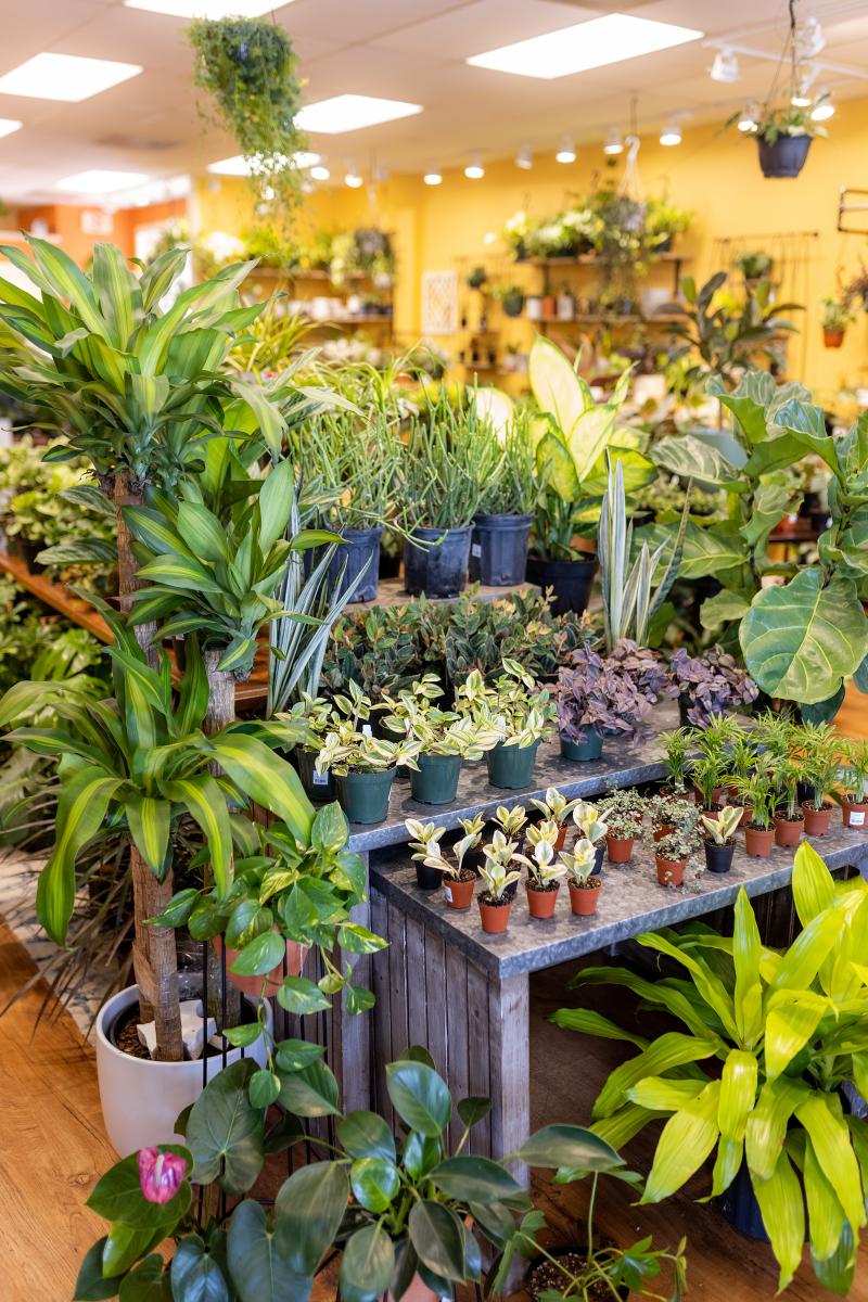 Inside view of Take Root