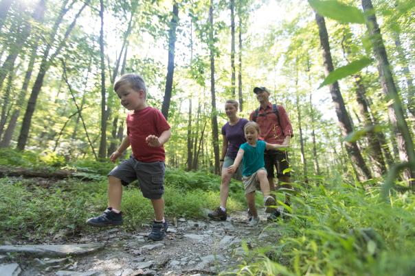 Family Hike