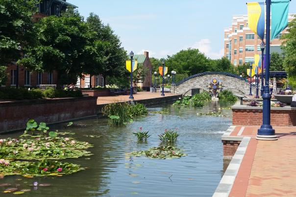 Carroll Creek Park Bridge