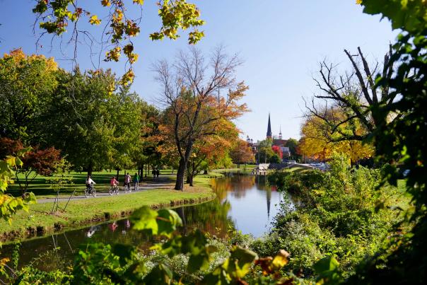Bike trail through Baker Park in Frederick in the Fall