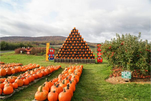 Pumpkins