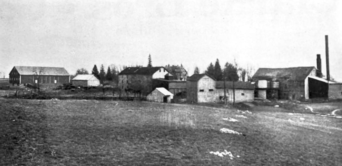 Horsey Distillery Photograph