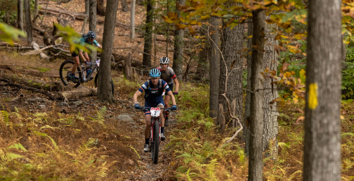USA Cycling Foliage