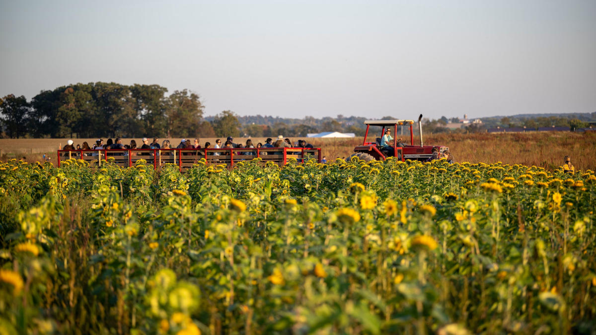 Magnolia Meadow Farms