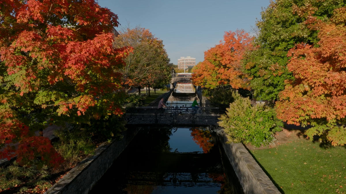 Carroll Creek Park with changing leaves