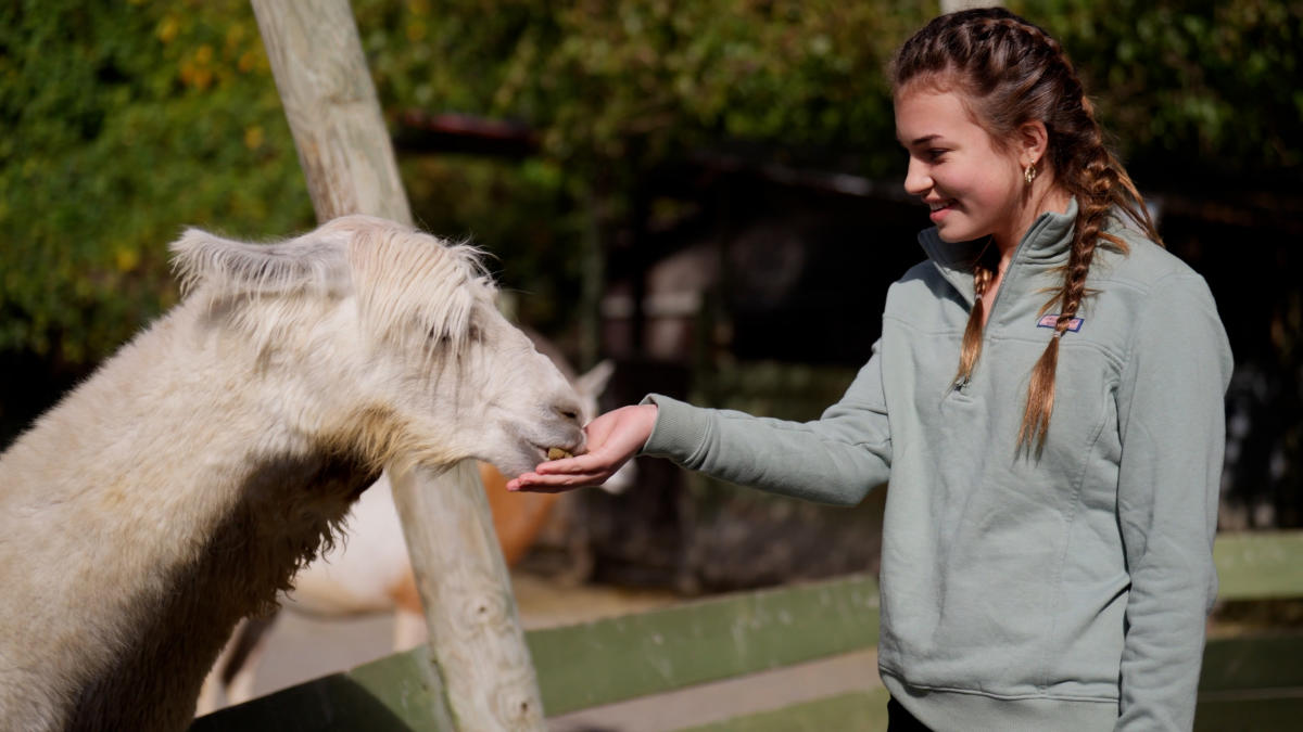 Feeding wildlife at Catoctin Wildlife Preserve in Thurmont