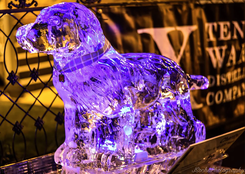 Fire In Ice - Guest Blogger