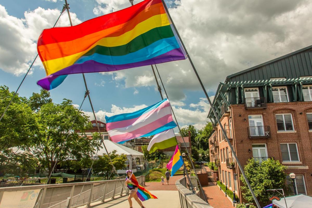 Pride flags on Carroll Creek