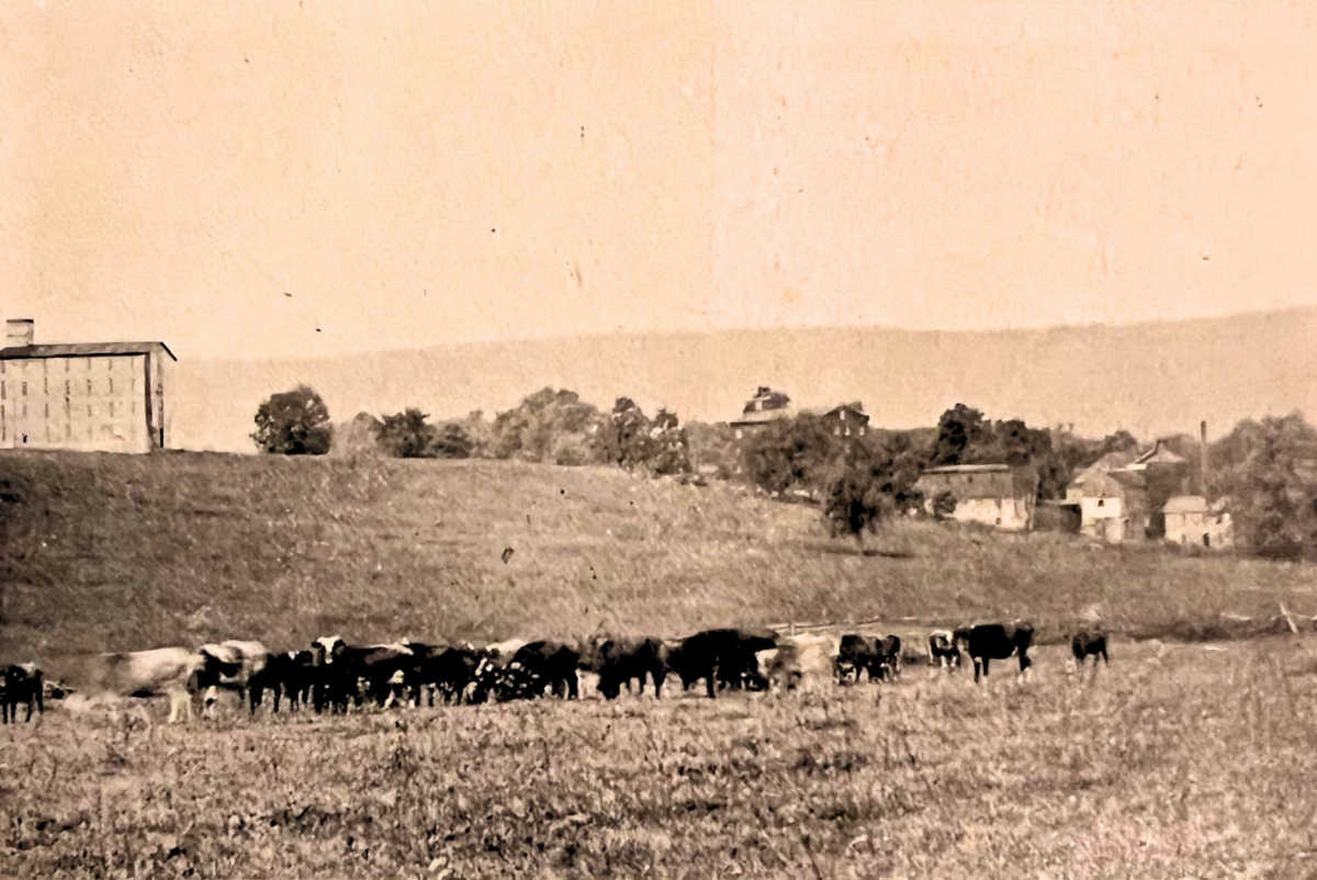 Ahalt Distillery