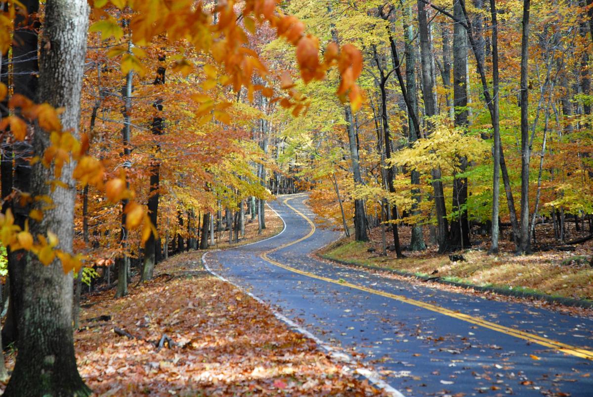 Fall Color Roads