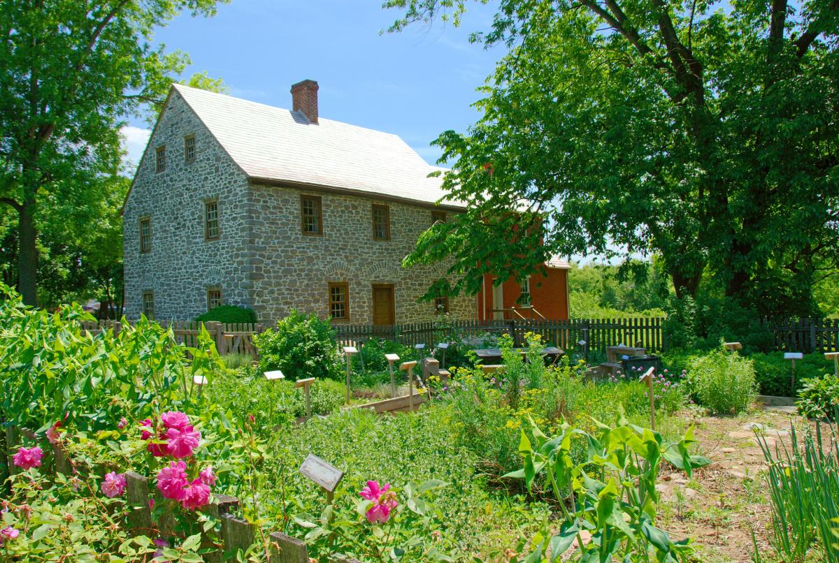 Flowers blooming outside the Schifferstadt Architectural Museum