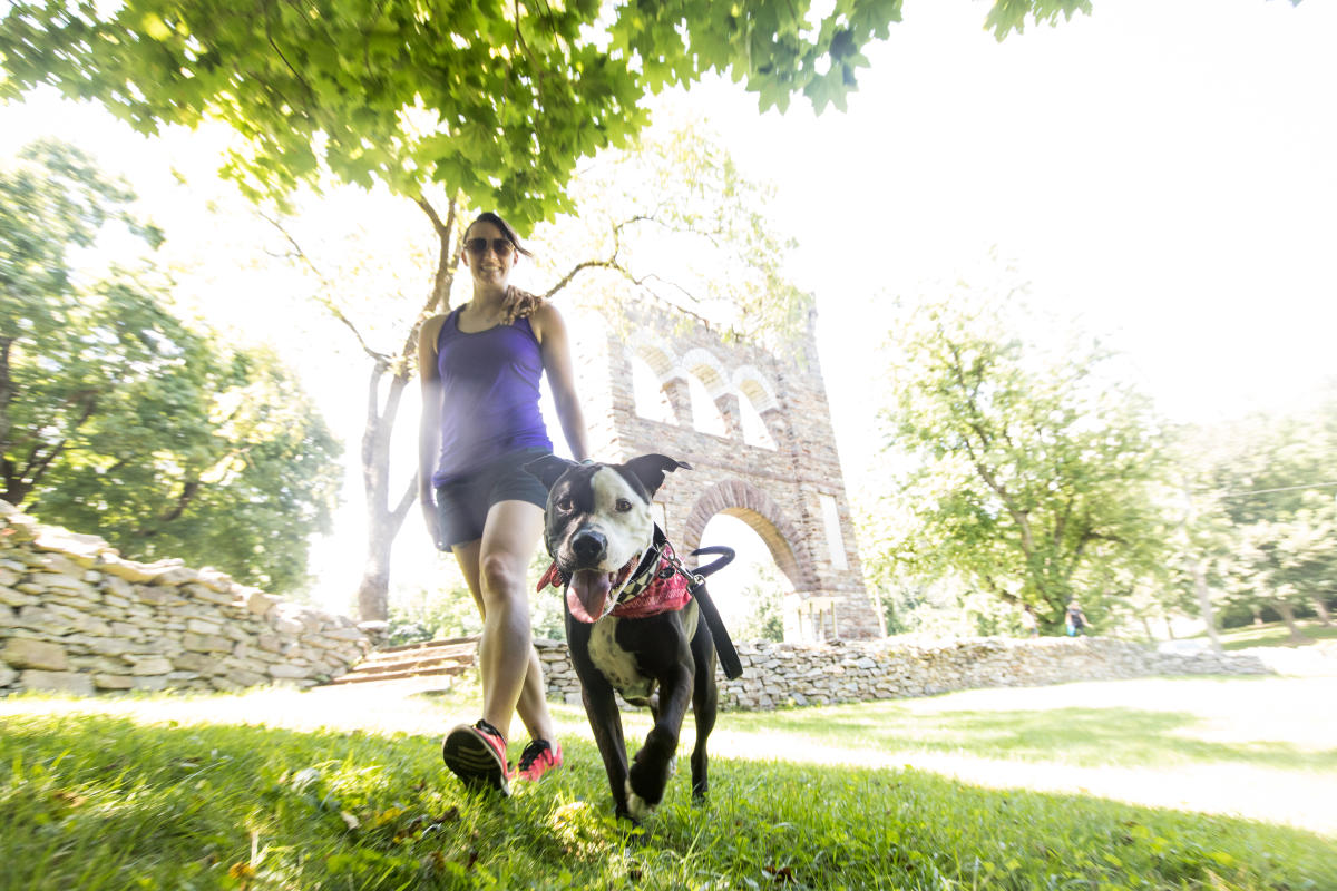 Dog Friendly Frederick